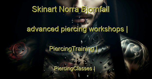 Skinart Norra Bjornfall advanced piercing workshops | PiercingTraining | PiercingClasses | SkinartTraining-Sweden